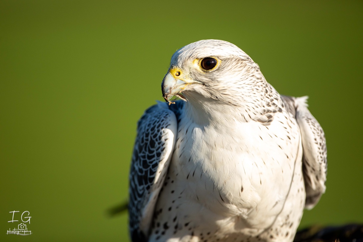  5D40026 21 november 2021 1221 58